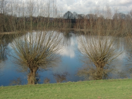 Wesel-Bislich : Marwick, Naturschutzgebiet Droste Woy